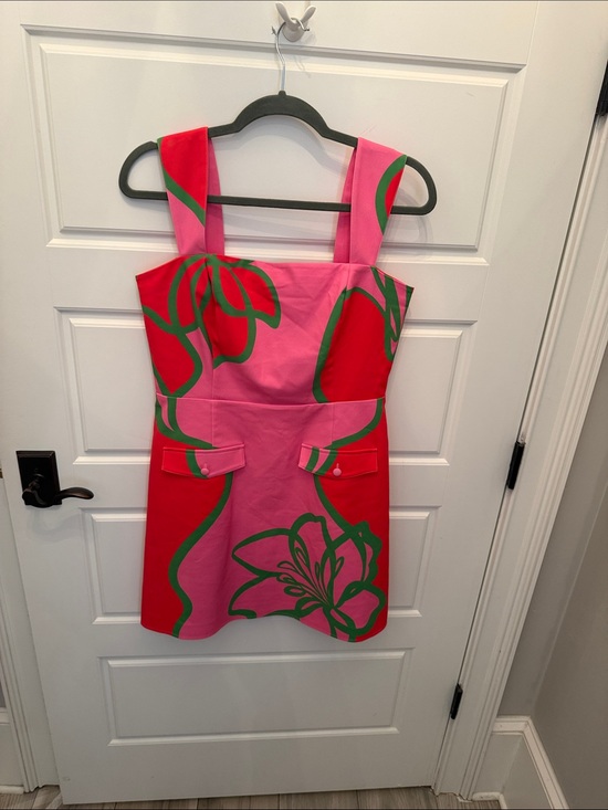 Alden Adair Dresses & Skirts - Alden Adair Pink and Red Floral Mini Dress with Green Accents